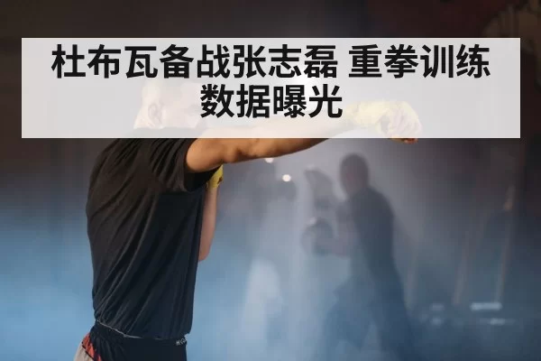 杜布瓦备战张志磊 重拳训练数据曝光