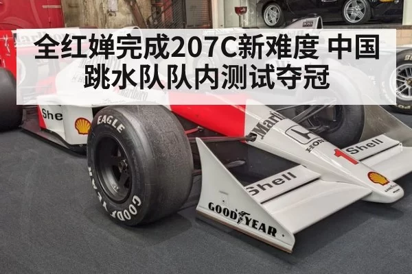 全红婵完成207C新难度 中国跳水队队内测试夺冠